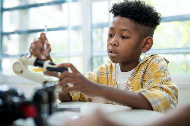 Creative career exploration